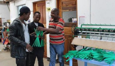 Alumnos de ingeniería viajan a Tanzania para visitar y trabajar en centros de innovación y emprendimiento