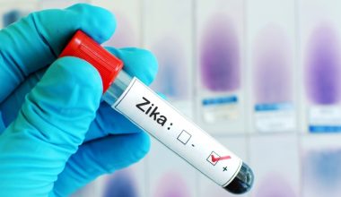 Investigadora FIC: comportamiento de virus como el Zika se puede predecir con modelo matemático