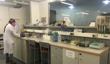 Laboratorio de Bioingeniería habilitado para análisis de muestras de covid-19