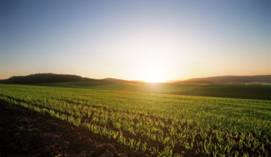 Investigadores patentan en EE.UU. tecnología que promueve la agricultura sostenible