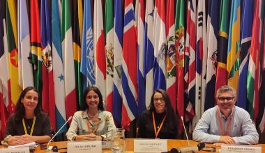 Cefis UAI participa en el “Foro de los Países de América Latina y el Caribe por el Desarrollo Sostenible”